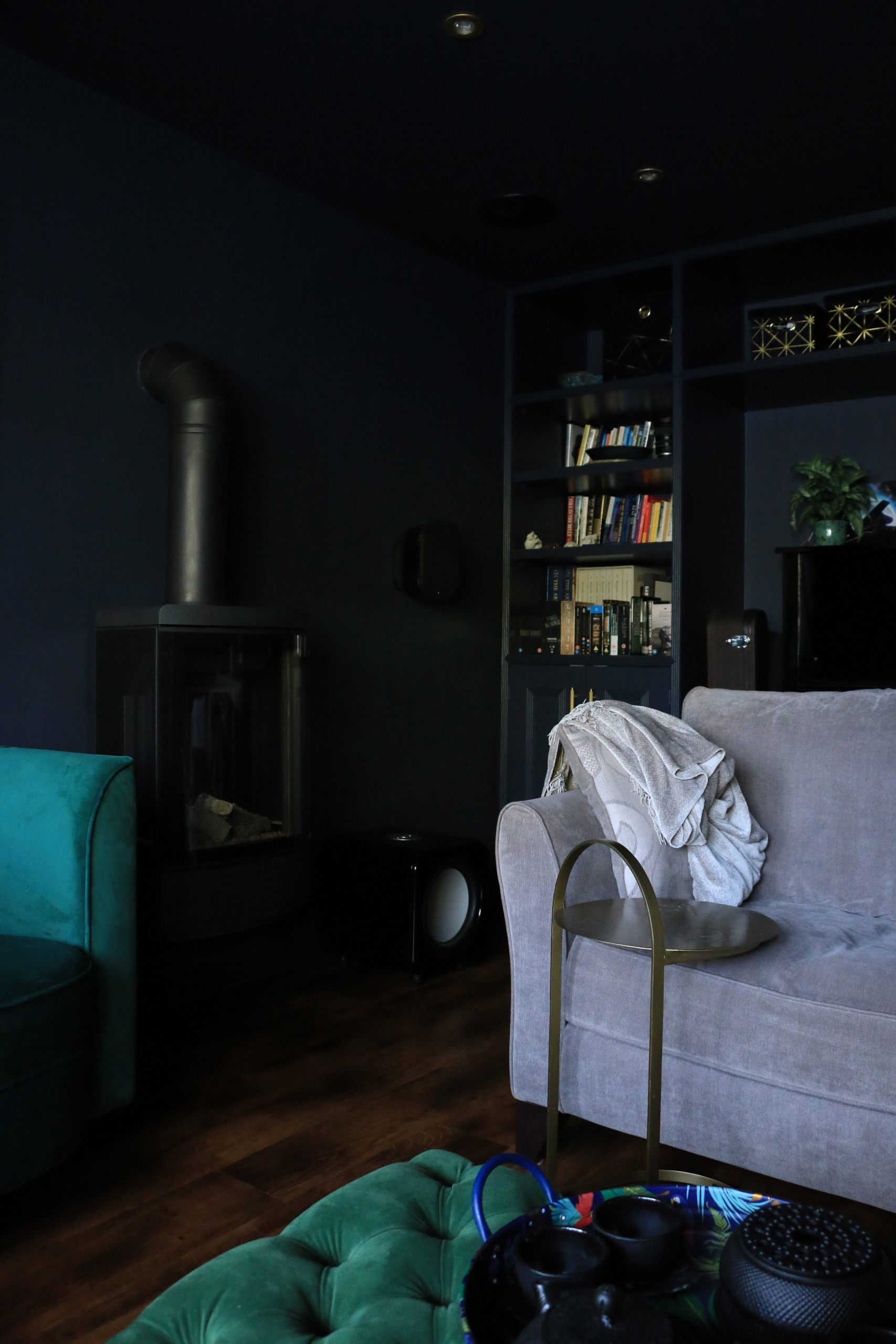IMG_6313 copy colour drenched front room and shelving