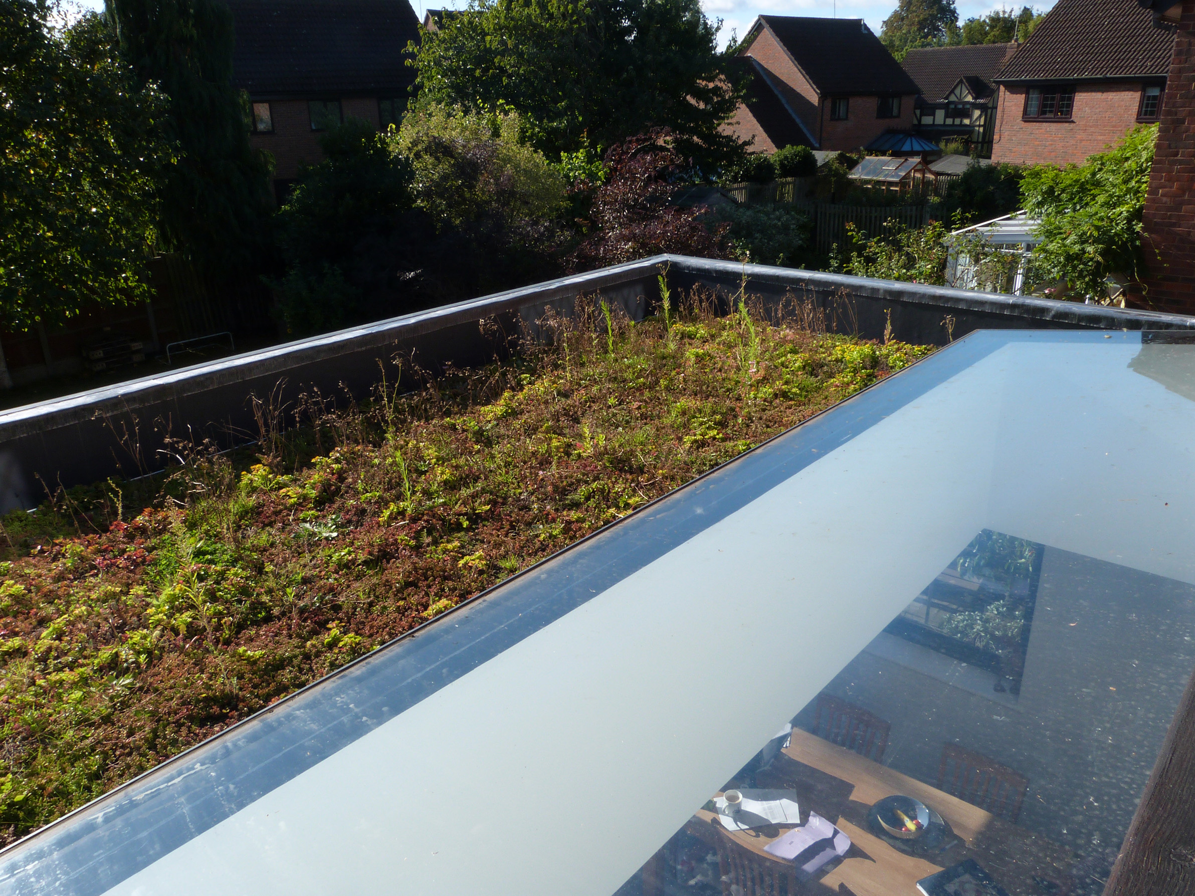 Green roof and roof light detail